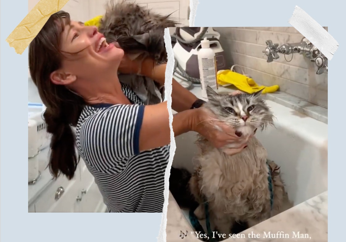 Twitter está obsesionado con este caótico video de Jennifer Garner bañando a su gato