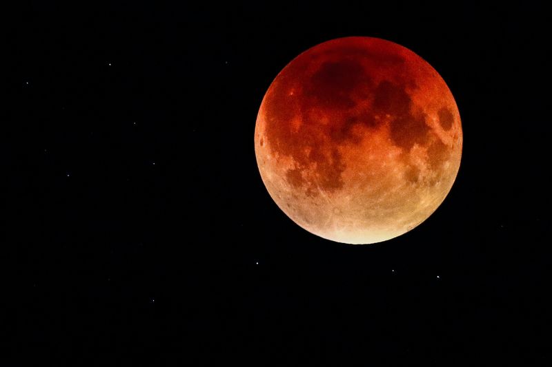 Aquí está cómo ver el eclipse de luna llena de castor de noviembre