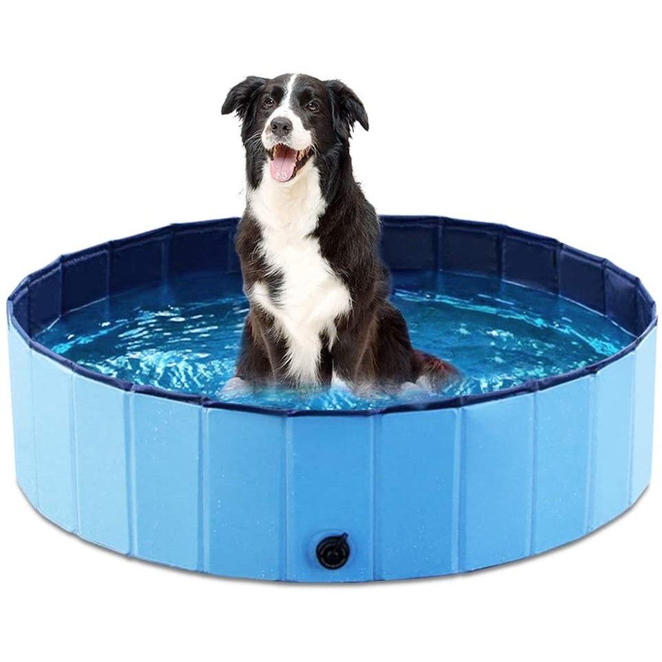 Las mejores piscinas para perros para mantener fresco a tu cachorro