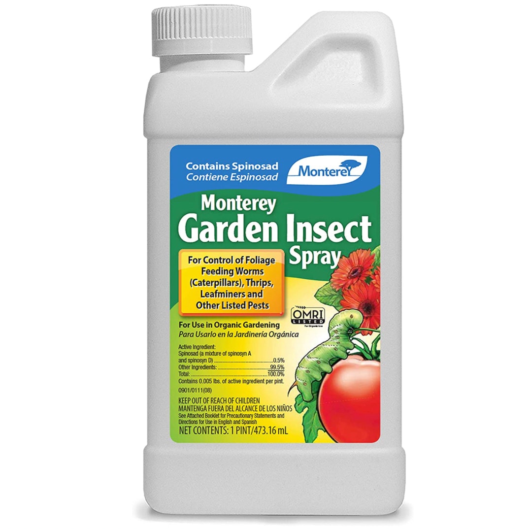 あなたの野菜の庭のための4つの最もよい殺虫剤