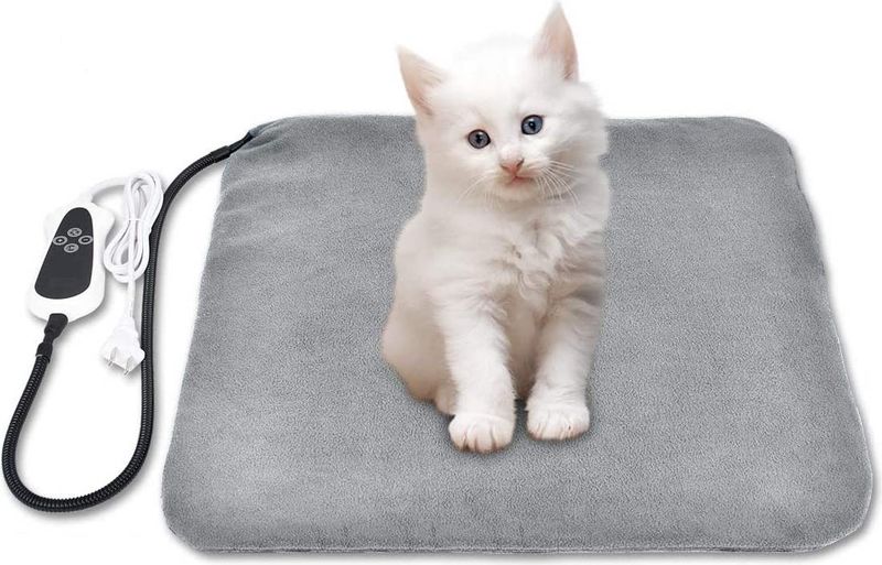 7 geriausios šildomos kačių lovos