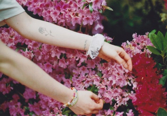 11 идей татуировки с гвоздикой, которые вдохновят вас на следующий цветочный боди-арт